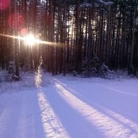 Последний снег :: Владимир Черкасов
