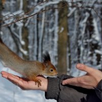 Страшно.... но любопытно :: Марина К