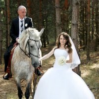 Love & Horse :: Алексей Ломако