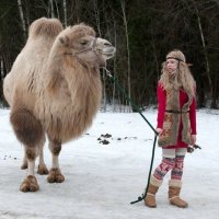 Девушка с верблюдом :: Янина Ермакова