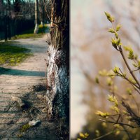 Весна :: Екатерина Соаха