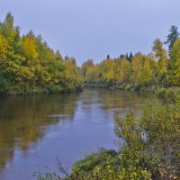 Осенний дождь :: Владимир Бобришев