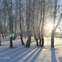 зима :: Евгения Данилова