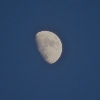 Луна :: Александра Надёжкина