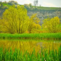 spring landscape :: Владимир Мазуренок