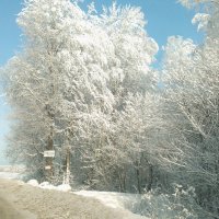 Зимняя природа :: Александра Петрухина