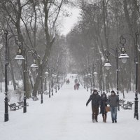 Парк зимой :: Никита Мяу
