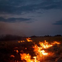 огонь на поле :: Roman Demidov