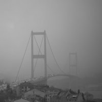 Стамбульский мост :: Максим Рожин