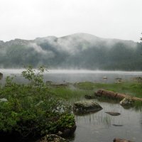 Туман на озере Светлом :: Сергей Карцев