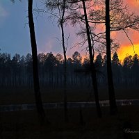 Пожары в Сибири... :: Светлана Воробьёва