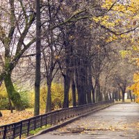 Осень в парке :: Алексей Дмитриев