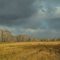 Сибирская весна :-))  хотя, поздней осенью было почти так же... :: Vadim Piottukh 