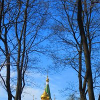 Новодевичий монастырь в Петербурге :: Татьяна 