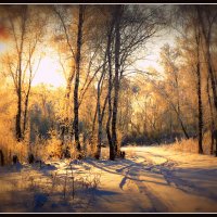 Зимний лес "На закате" :: Ольга Кондратова