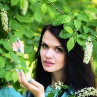 Весенний сад :: Виталий Бартош