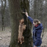 Летающая собака (4) :: Николай Ефремов