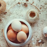eggs :: Наталья Голубева