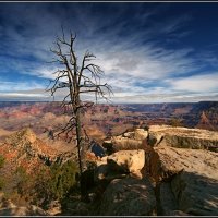 Grand Canyon(4) :: Gregory Regelman