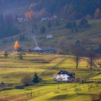 *** :: Андрій Кізима