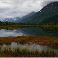 У Озера.(Аляска) :: Gregory Regelman
