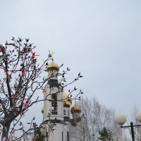 Свято-Духовский храм г. Нефтеюганск :: Евгений Пикаревский