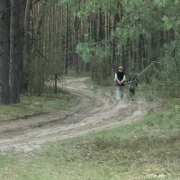 Прогулка в лесу :: Evgenij Schleinikov