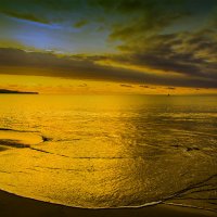 золотой язык океана :: Alexander Romanov (Roalan Photos)