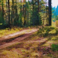 Дорога в лес :: vitarmar иванов