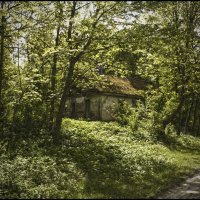 Заброшенный дом :: Тарас Грушивский