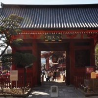 Тории(ворота) перед храмом Сэнсо-Дзи в Токио (район Асакуса). :: Ева Такус 