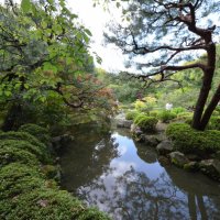 Японские сады :: VITALI VITALI