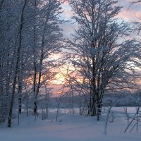 Закат зимой :: Александр 