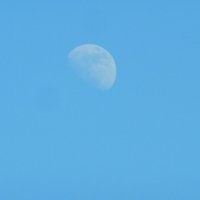 Луна на небе голубом :: Алексей Масалов