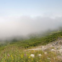 туман на перевале :: Galina 