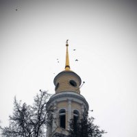 Ахтырская (Никитская) церковь :: Александра Старых