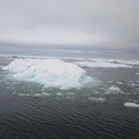 Ледяной островок :: Дарья Каратун