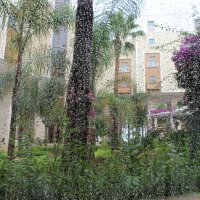 Дождь за окном :: Mariya laimite