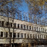 Згрлс Дуга в Чернобыльской Зоне :: stas_polessky Полесский