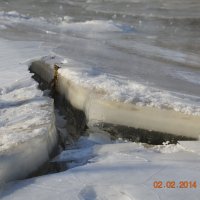 природное желе :: Ольга Ершова