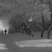 зима в городе :: Сергей Политыкин