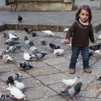 Девочка и голуби :: Анжелика 