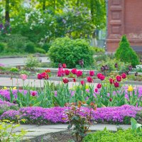 Весна в монастырском саду. :: Геннадий Александрович