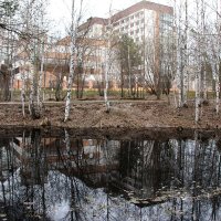 Прогулка в парке :: Гена Белоногов 