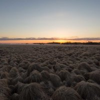 рассвет на качкарнике... :: Сергей 