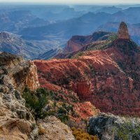 Grand Canyon :: Gregory Regelman
