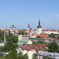 Fotostuudio Akolit, Tallinn :: Аркадий  Баранов Arkadi Baranov