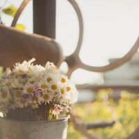 Flower day :: Яна Панченко