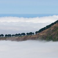 Выходи по одному... :: Александр Константинов