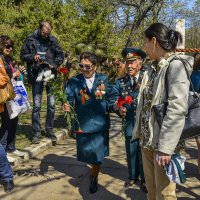 Столько бы внимания в будни... :: Аркадий Беляков